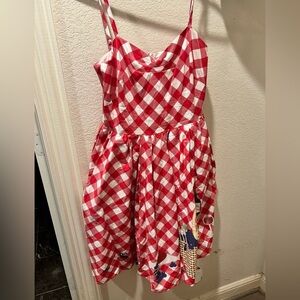 Unique vintage, picnic dress